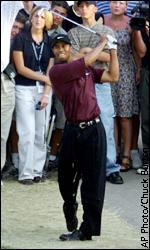 Tiger Woods